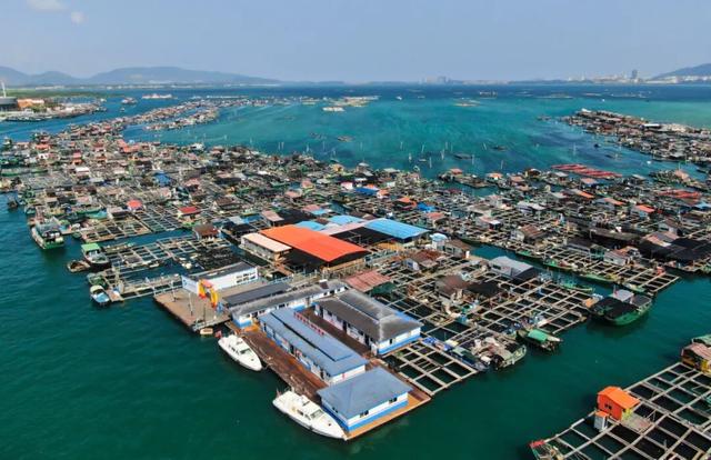 陵水过冬指南：除了晒太阳，还能这么玩！