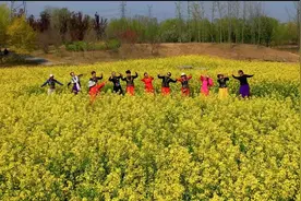 商丘市睢阳区：油菜花开春意浓 踏青游玩正当时图片