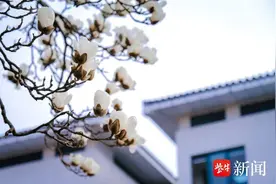 繁花似锦，苏中邀您将春天的元气揣进心里图片