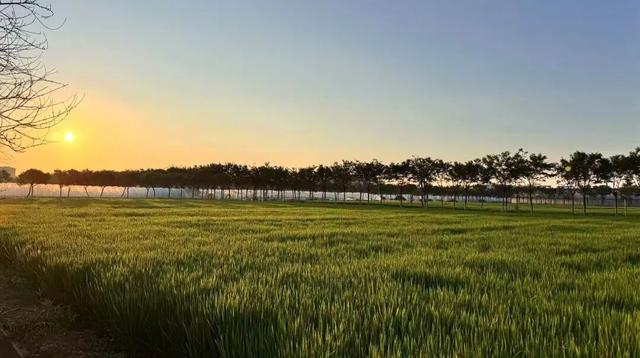 不知道去哪遛娃？来这里呀！