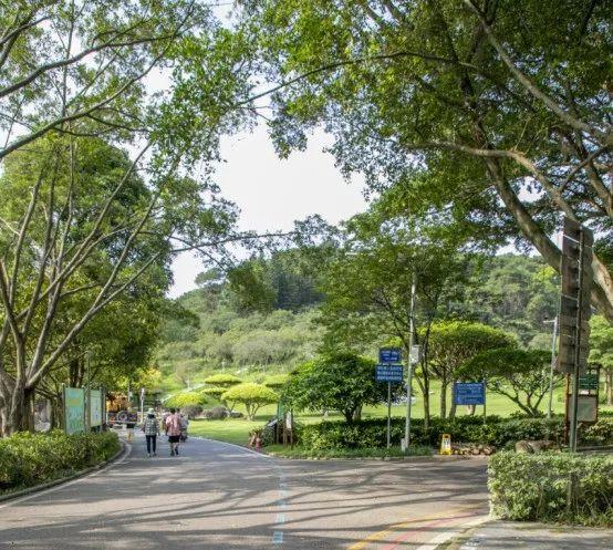健身赏景两相宜！南宁这些“宝藏公园”等你来逛