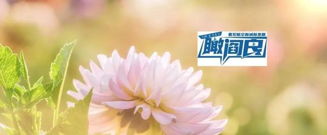 星期三（农历闰六月十三）