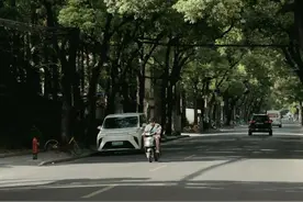 杨浦小众又宝藏的citywalk，就在这座岛上图片