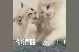 刷单是如何“刷”走你全部家当的？图片