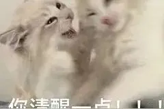 刷单是如何“刷”走你全部家当的？图片