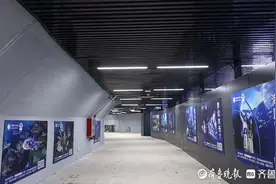 住福青岛丨前海一线海底世界、极地海洋世界游客过街有了新通道图片