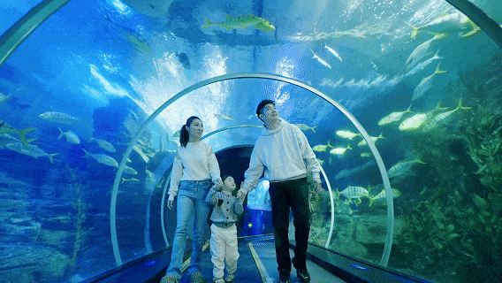 ¥99的快乐又来啦！跨年早享价，全新“玩梗派对”欢乐来袭