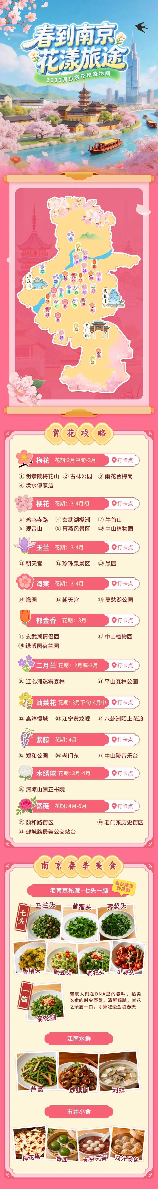 南京郁金香，最新消息