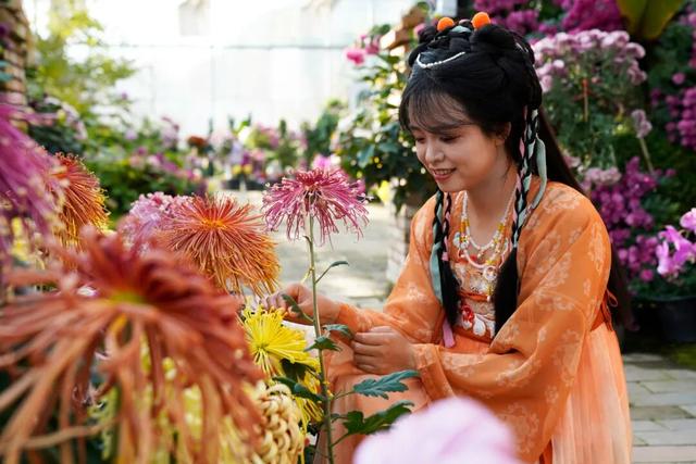 图说定西 | 深秋和菊花的浪漫邂逅