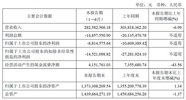 深天马、维信诺、创维数字、汇顶科技、全志科技等19家面板与显示芯片企业2025上半年财报一览