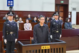 被控受贿613万余元，中国南方电网原纪检监察组组长龙飞受审图片