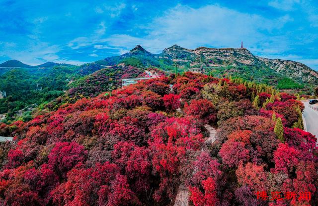 趣味无穷！秋日淄博博山赏红叶，这些打卡地玩法多样超好玩！