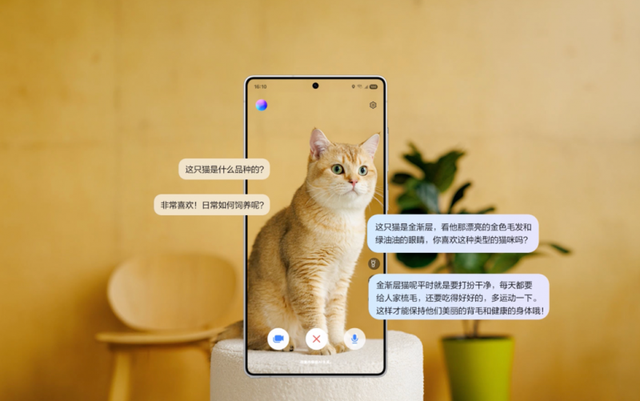 七夕好礼高甜上线 三星Galaxy S25系列让节日更有AI