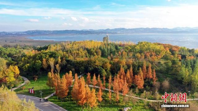 贵州草海北坡公园迎秋冬季最佳观赏期