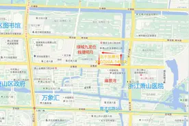 杭州新宅地挂牌，临平区宜家旁、萧山区政府旁，两宗低密宝地上新图片