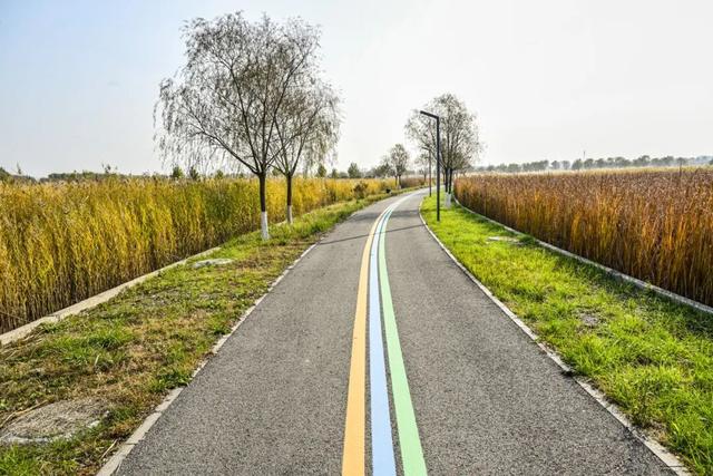 本周末迎赏红高峰，副中心金秋美景邀您共赴“京秋”之约