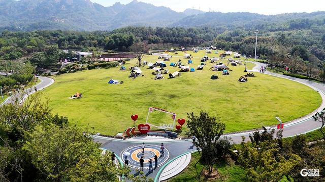 浮山草坪“长”满帐篷，青岛人的国庆浪漫藏在绿意里