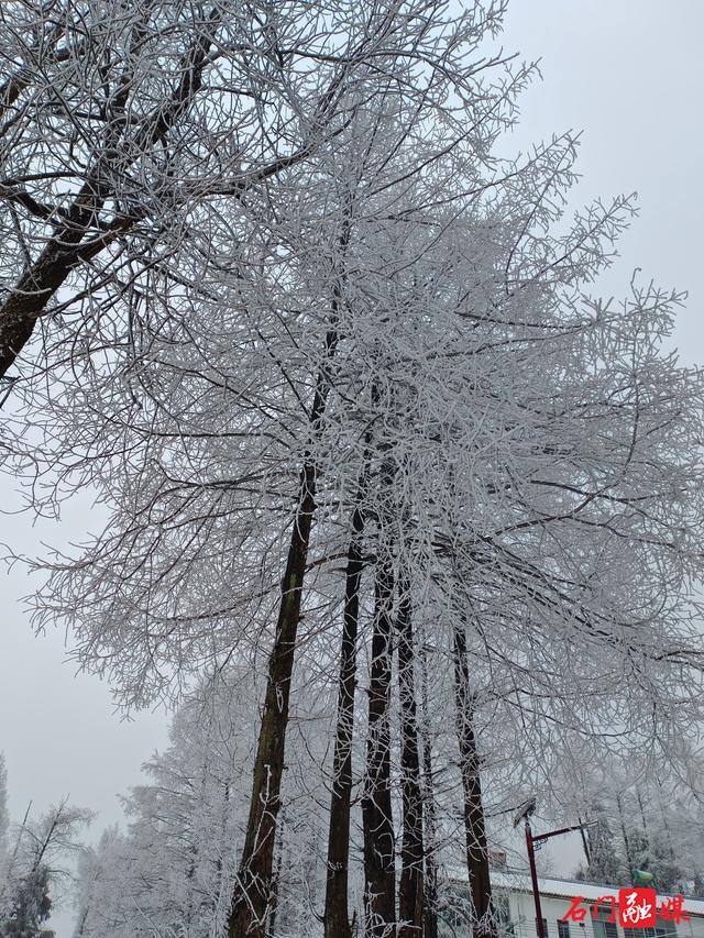 组图 | 石门：银装素裹 东山峰美成童话
