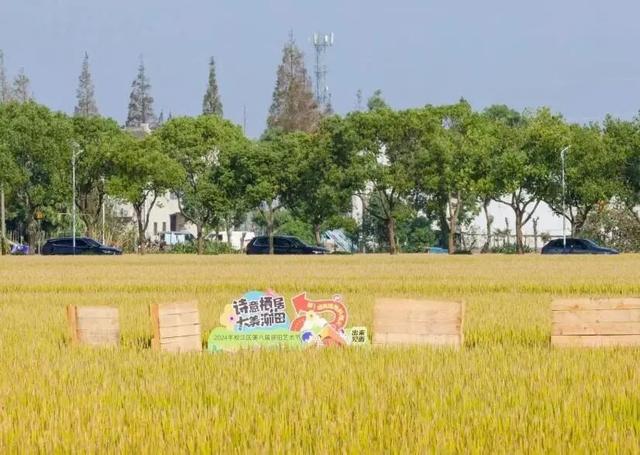 “秋季寻根十八游”+30余项重点推荐活动，上海旅游节期间松江文旅活动详细清单来了！