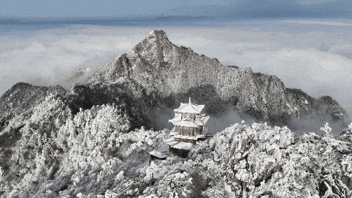 天呐，洛阳的这份「反差感」，绝了！