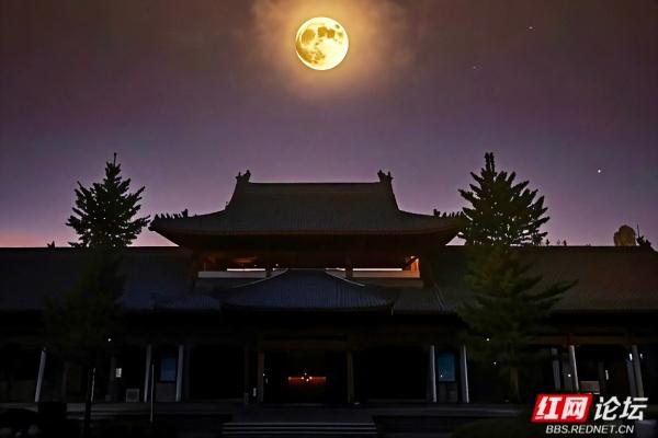 欢庆时刻丨自在益阳：江风、古巷与稻田里的慢时光