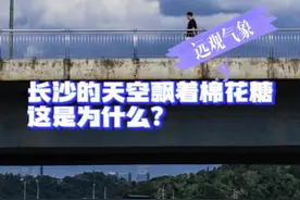 远观气象｜长沙的天空飘满“棉花糖”，浪漫背后是什么图片