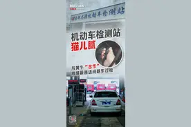 新闻8点见丨机动车检测站猫儿腻；“英国版盖茨”海难失踪引发猜测图片