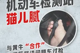 新闻8点见丨机动车检测站猫儿腻；“英国版盖茨”海难失踪引发猜测图片