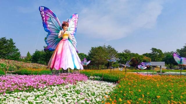 专属中山的限定浪漫花海来了！购票全攻略→