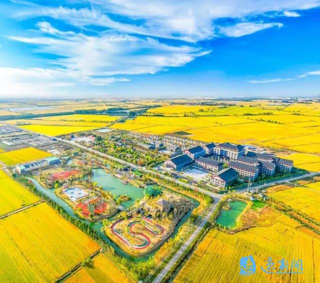 红色研学+房车露营！泗洪这个营地获评“长三角臻选”