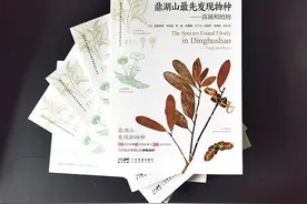 《鼎湖山最先发现物种——真菌和植物》出版图片