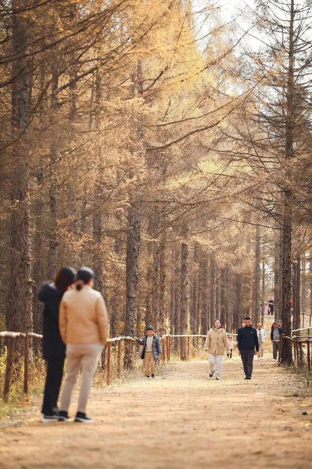 看，延吉秋景深藏诗意！