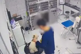 江苏淮安一宠物医院暴力摔打宠物狗，同事看到也不制止！院方致歉：涉事员工已被开除图片