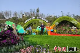 成都第六十届花会开幕 到文化公园看花花世界图片