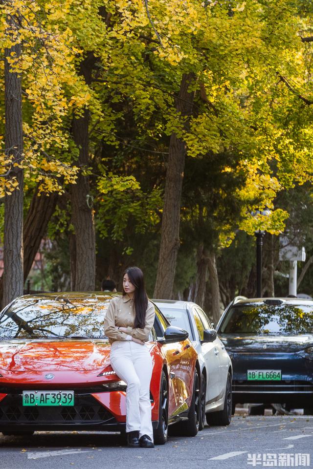 青岛深秋处处“鎏金”，美不胜收！