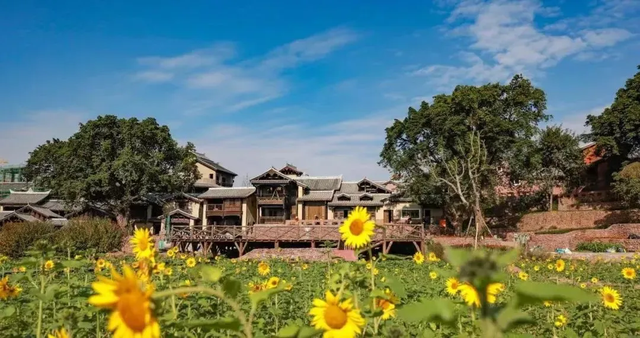 途经西昌！高铁旅游计次票上新