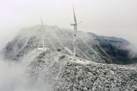 图片新闻｜万盛：喜降春雪“风”景美图片