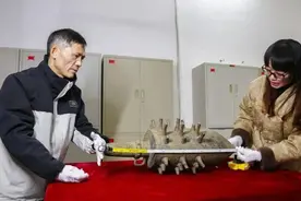 国家二级珍贵文物！在广西一地被发现图片