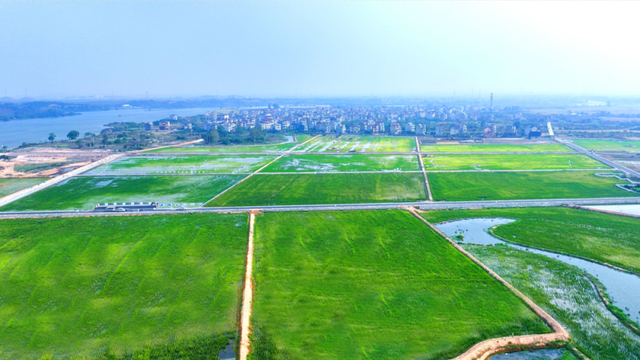 人文乡村！衢江这3个村入选省级名单