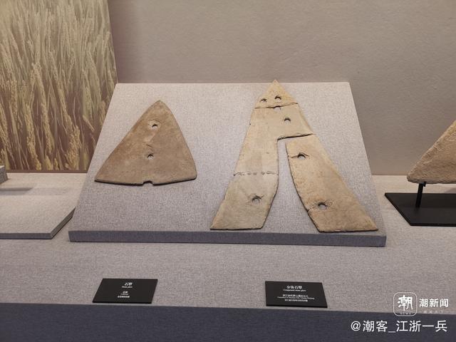 写点生活｜重阳节前游良渚