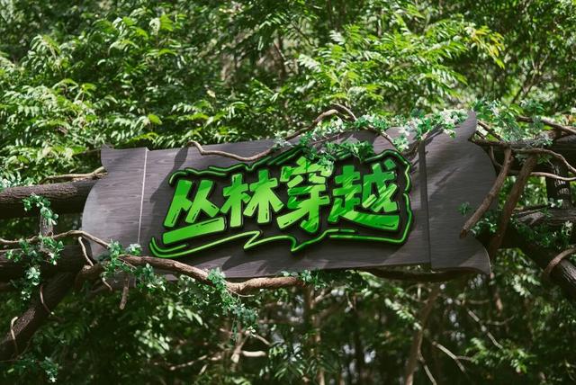 金山也有丛林穿越？！惊险刺激，速来！