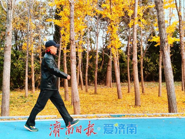 一年四季 泉在济南丨鲍山公园初冬限定美景 层林尽染如铺展天然画卷