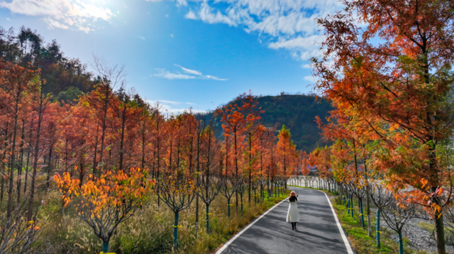 郧西县观音镇刘家湾村初冬美景引客来