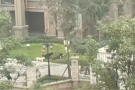“女孩被狗撕咬”事件被警方通报，放纵恶犬伤人的，也不能轻饶！图片