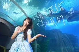 嗨玩夏夜，青岛这些景区夜场开启图片