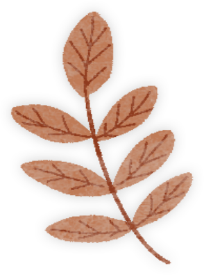 向云端，17分钟，这条云端索道全攻略来啦！