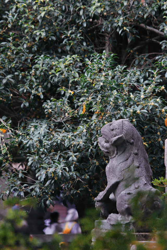破案了！西街飘散的香味，源头竟然在开元寺
