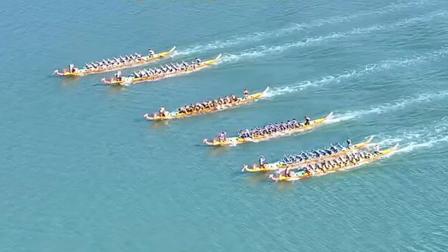 创变赋能·质领未来——改革创新激活文旅新质生产力！2025年广西文化旅游改革创新交流活动在防城港举办