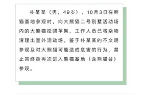 49岁男子向熊猫投喂苹果 被终身禁止再进入成都大熊猫繁育研究基地图片