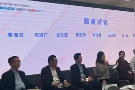 分布式光伏备案难，专家：解决消纳压力是综合性问题，须加快推进源网荷储一体化建设图片